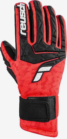 REUSCH Athletic Gloves 'World Cup Warrior Neo' in Red