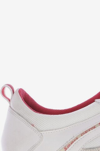 GEOX Sneakers & Trainers in 39 in White