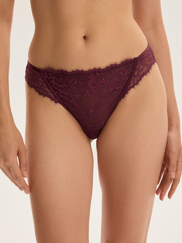 Panty 'Slip Cloe, florale Spitze, mit Baumwollzwickel, normale Leibhöhe' di ESOTIQ in marrone