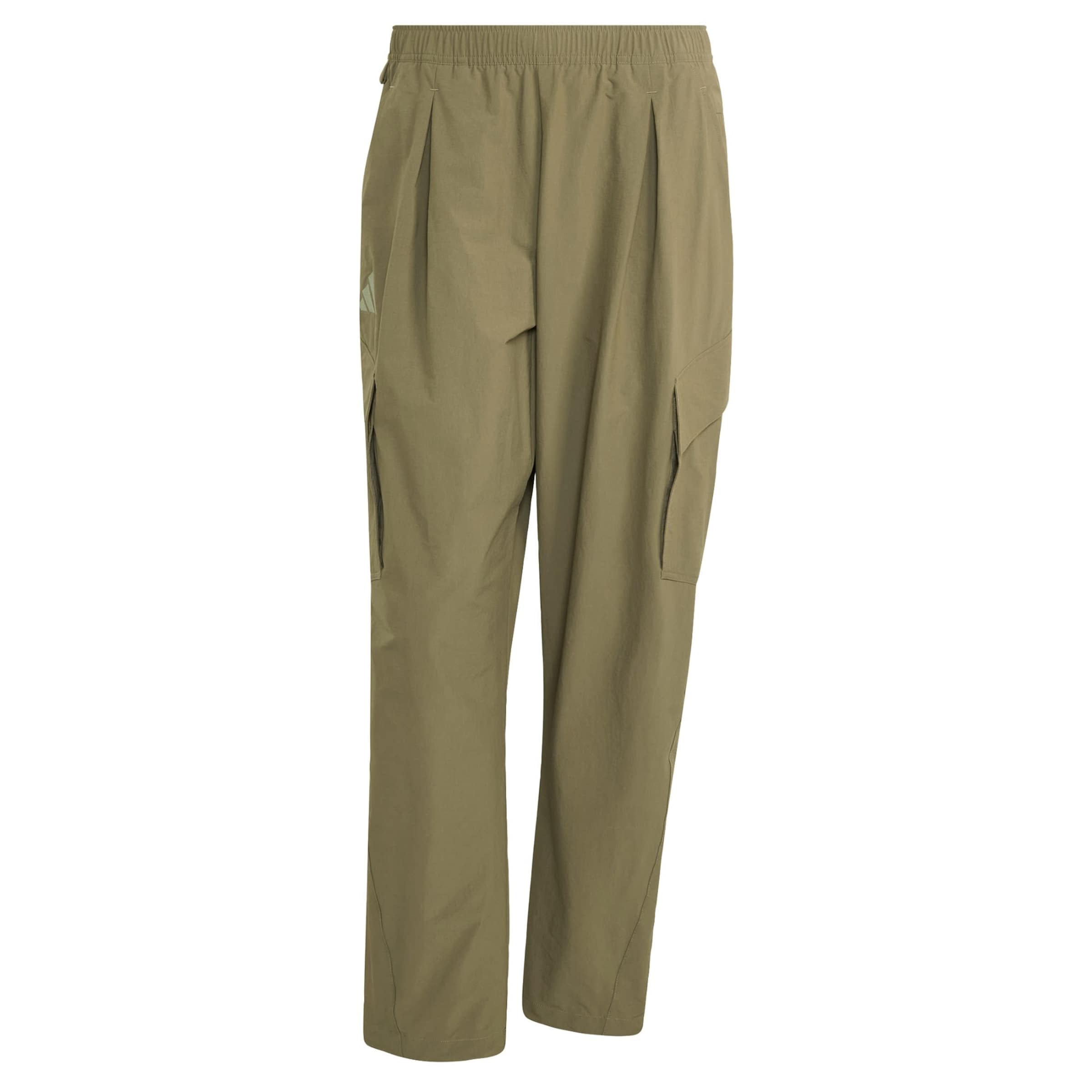 Loosefit Pantalon outdoor 'Xploric' ADIDAS TERREX en vert : devant