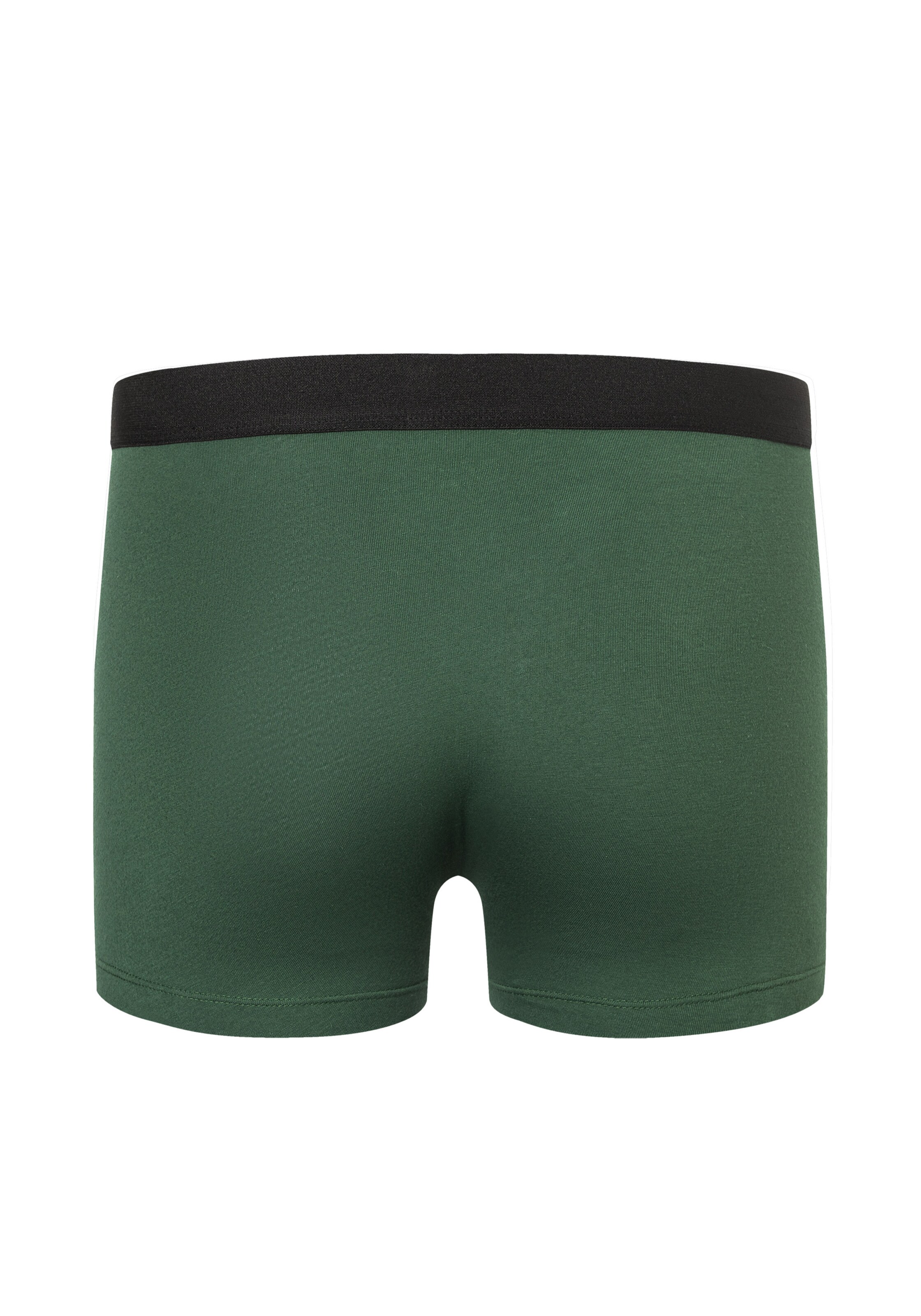 camano Boxershorts in Grün