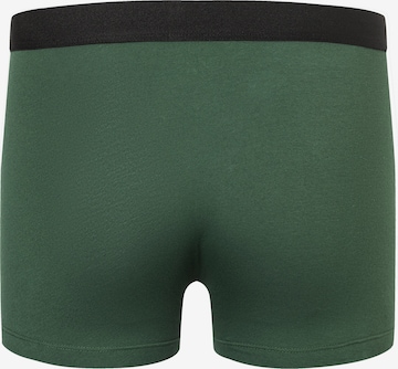 camano Boxershorts in Grün