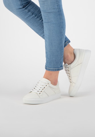 NoGRZ Sneakers 'J.Herrera' in White: front