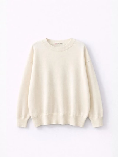 MixRay Pull-over 'Pullover' en S-L en beige clair, Vue avec produit