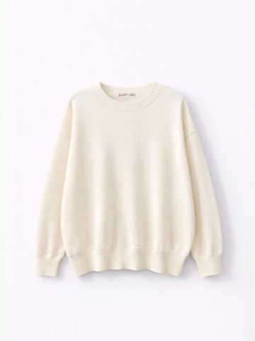 Pullover 'Pullover' di MixRay in beige: frontale