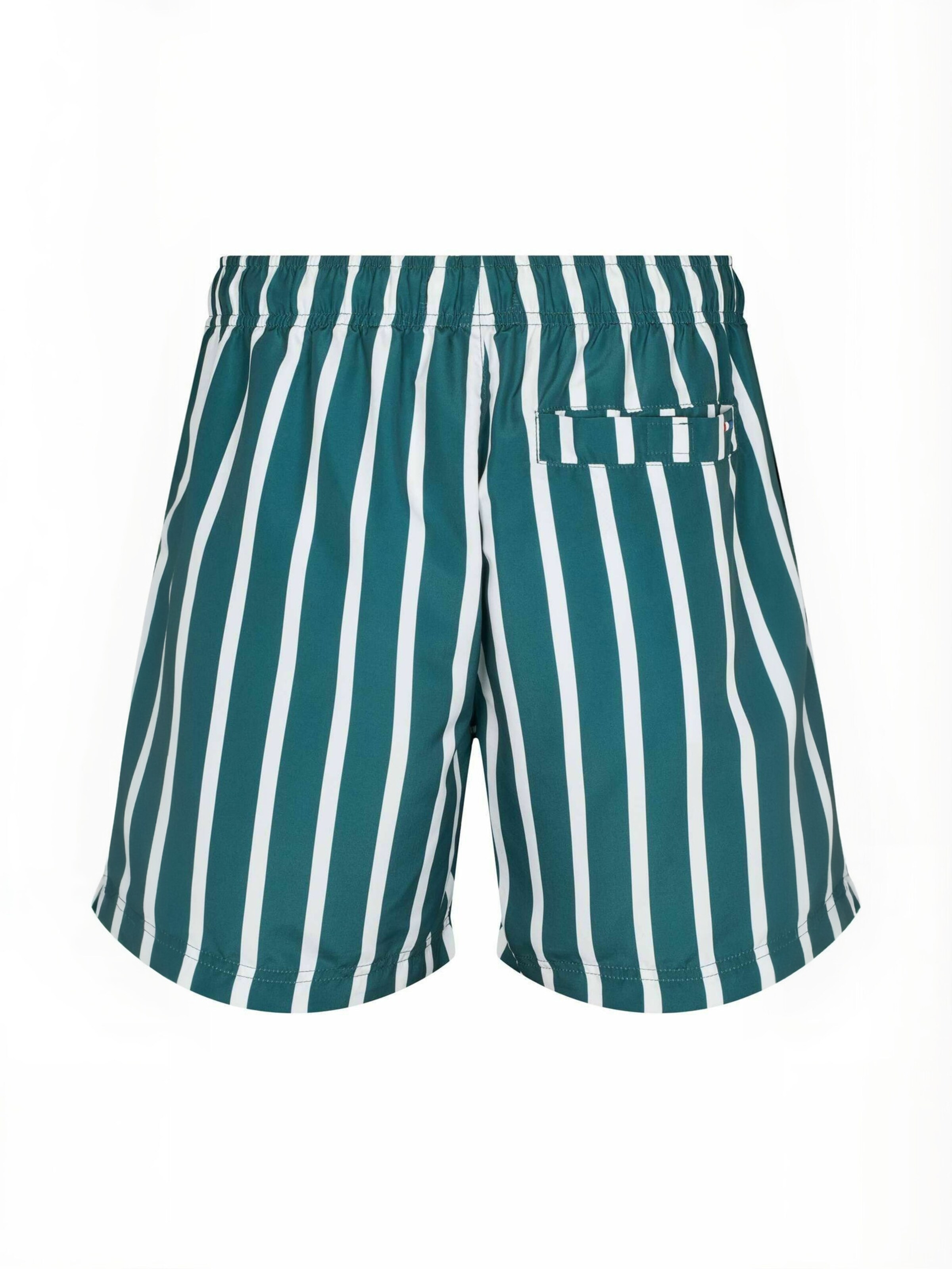 U.S. POLO ASSN. Badeshorts ' UMCharles ' i grøn