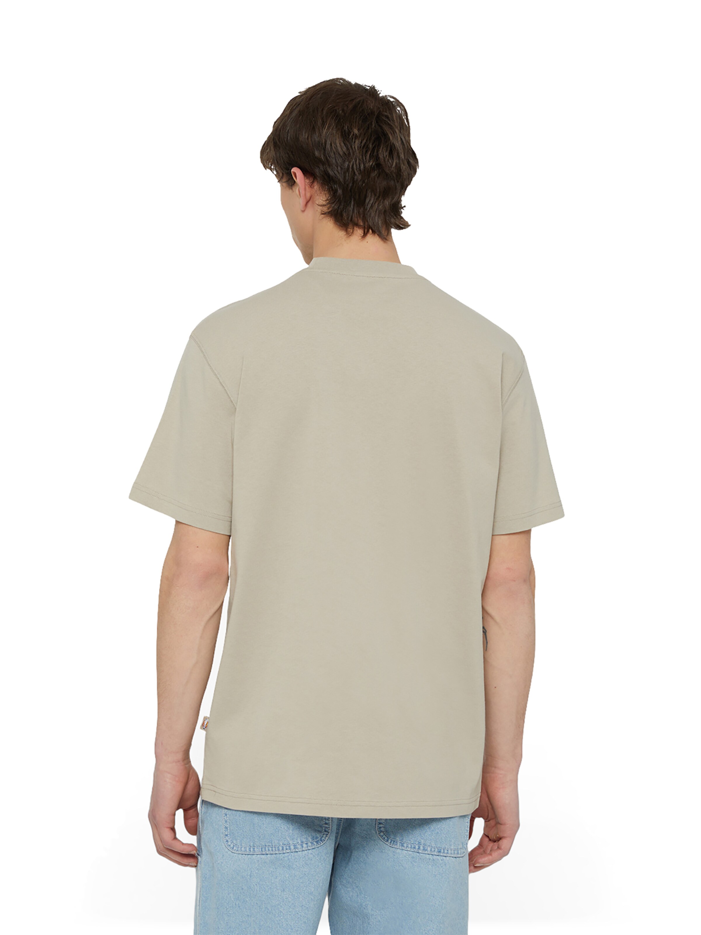 DICKIES T-Shirt 'Summerdale' in Beige