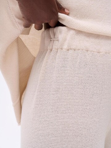 Blue Shadow Regular Hose‌ in Beige