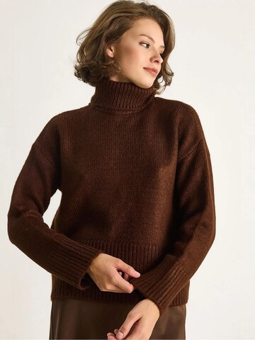 Bianco Lucci Sweater in Brown