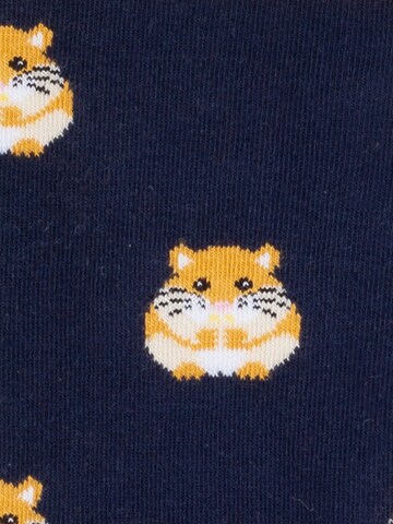 DillySocks Socken in Mischfarben