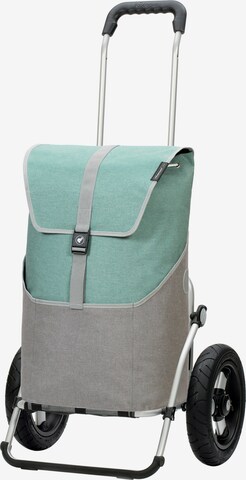 Andersen Shopper Cart 'Vigo' in Blue: front