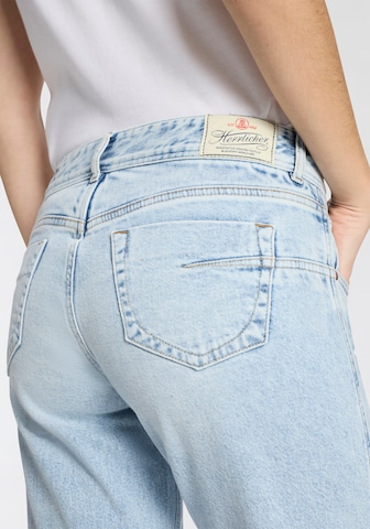 Herrlicher Flared Jeans in Blau