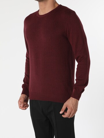 Colin's Trui in Lila