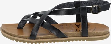 Blowfish Malibu T-Bar Sandals in Black