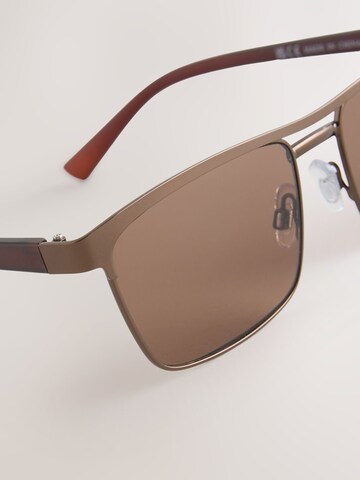 Next Sunglasses in Bronze
