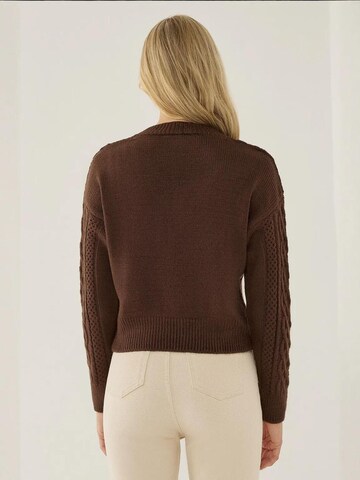 Hiccup - Pullover em castanho