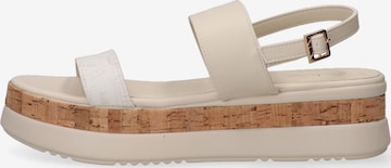 Alviero Martini Sandale in Weiß: Vorderseite