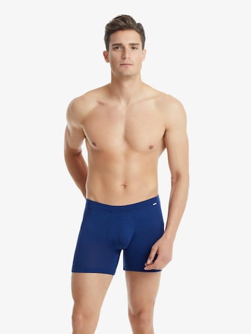 Boxers Blackspade en bleu