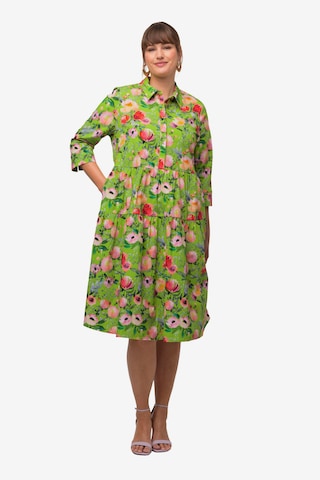 Ulla Popken Shirt Dress in Green: front