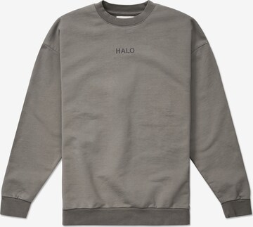HALO Sweatshirt in Braun: predná strana