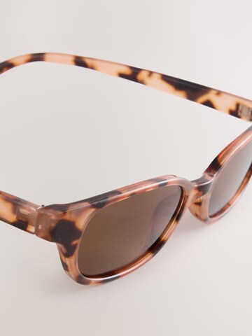 Next Sunglasses in Brown