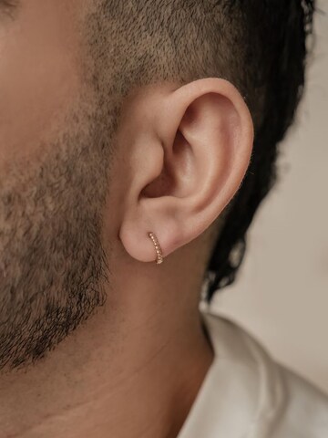 Dear Me Earring 'Glint Hoops' in Gold