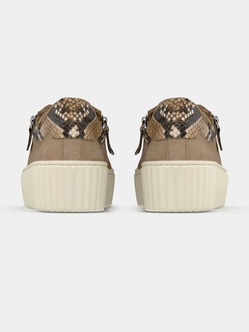 GABOR Низкие кроссовки в Бежевый