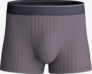 CALIDA Boxershorts 'Pure & Style' in Grau: Vorderseite