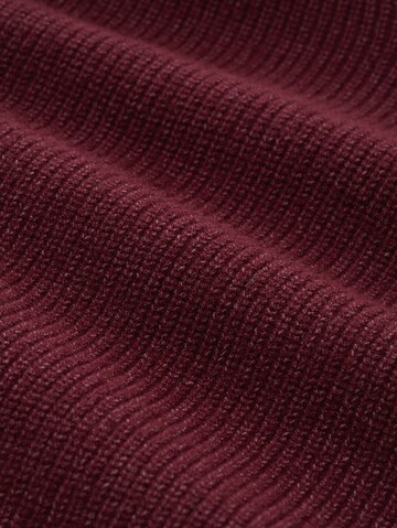 TOM TAILOR Sweater in Purple