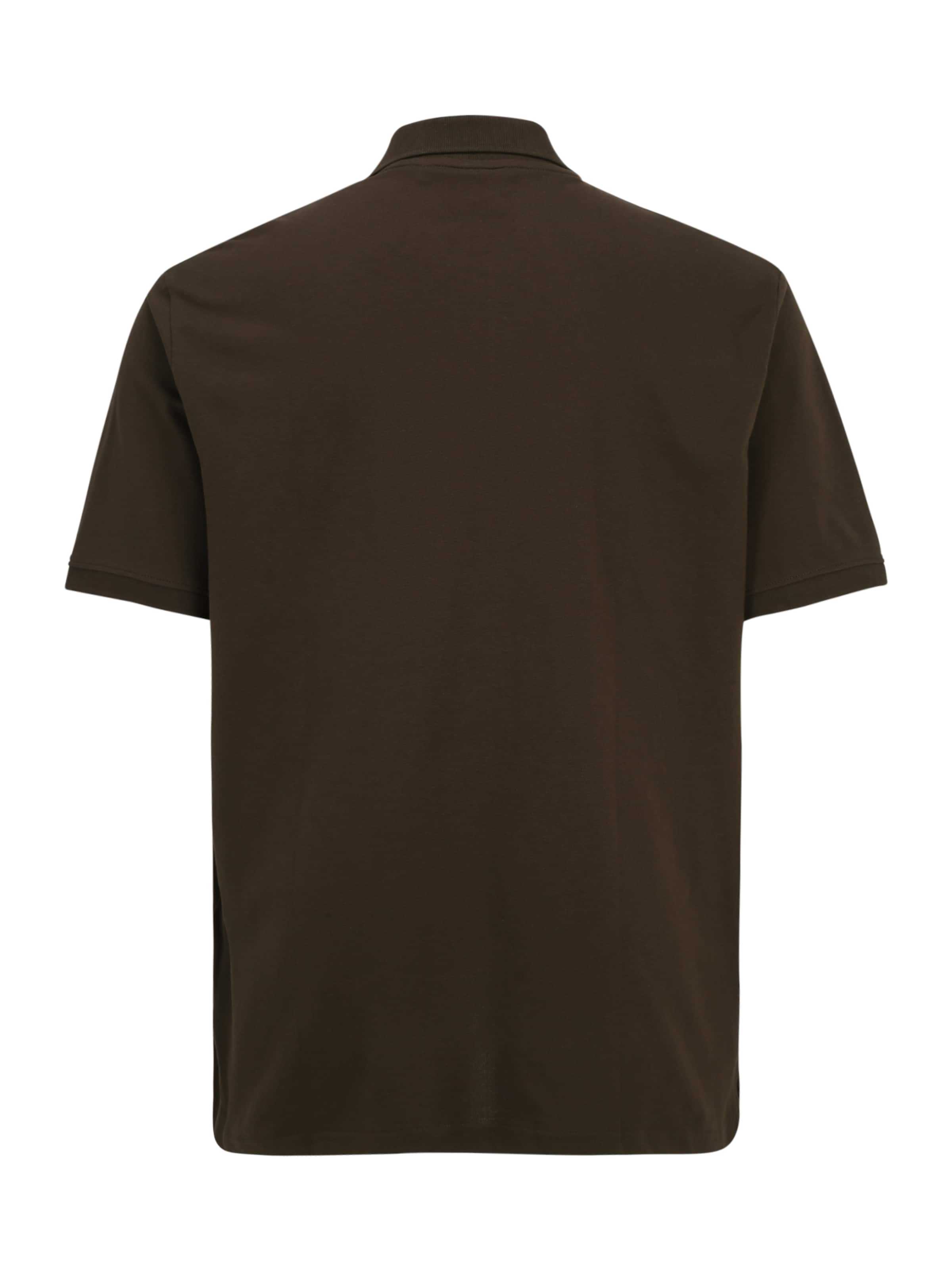 Lyle & Scott Big&Tall Shirt in Bruin