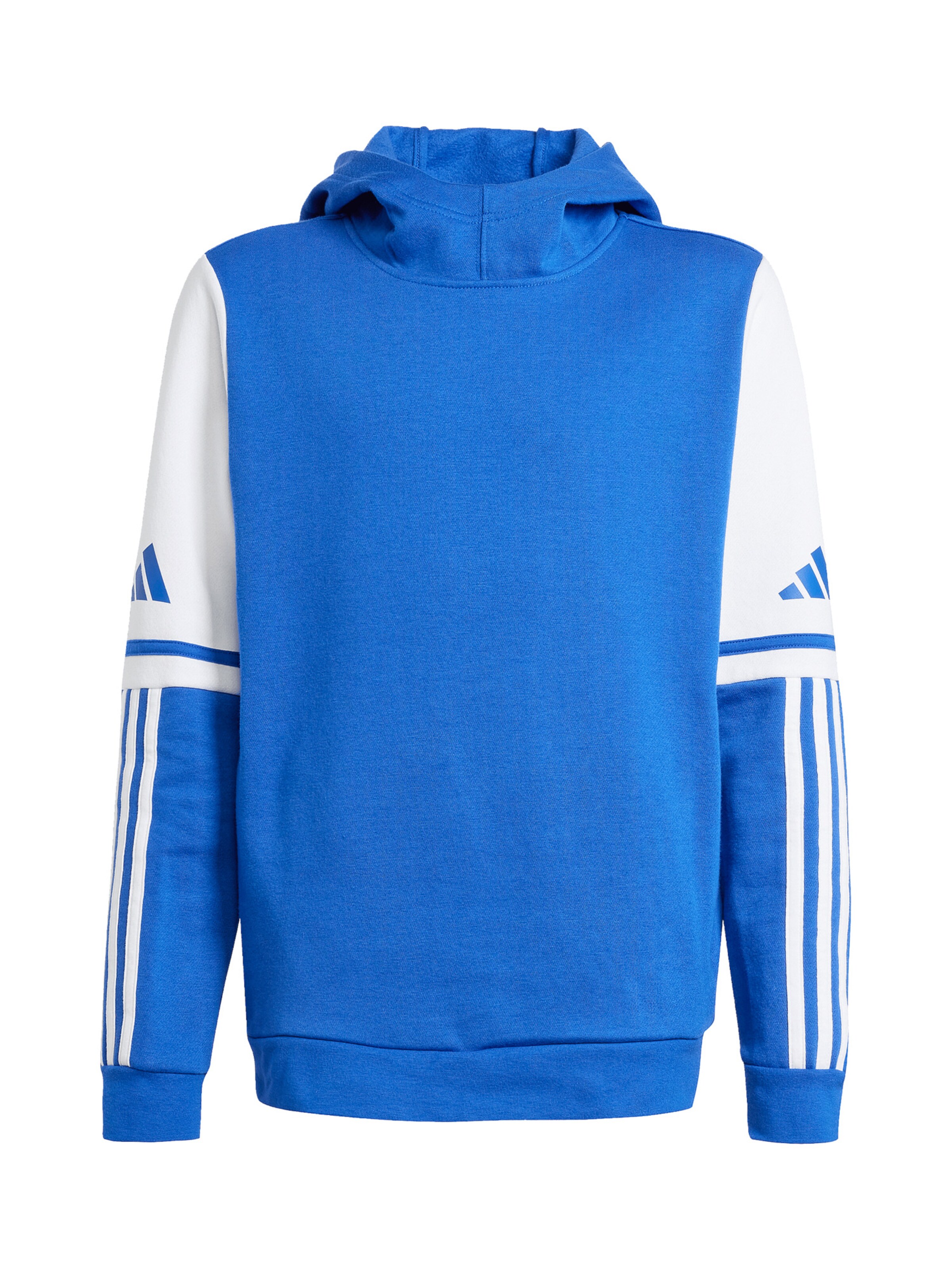 ADIDAS PERFORMANCE Sportsweatshirt in Blau: Vorderseite