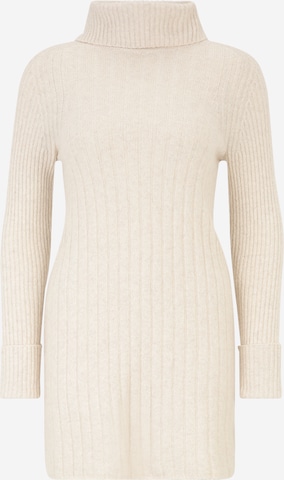 Banana Republic Petite Knitted dress 'ADIA' in Beige: front