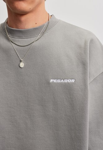 Pegador - Sudadera en gris