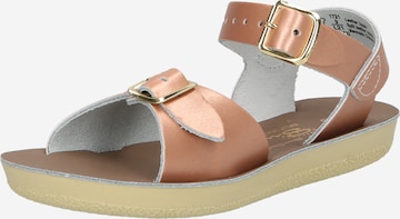 Sandalo di Salt-Water Sandals in rosa: frontale