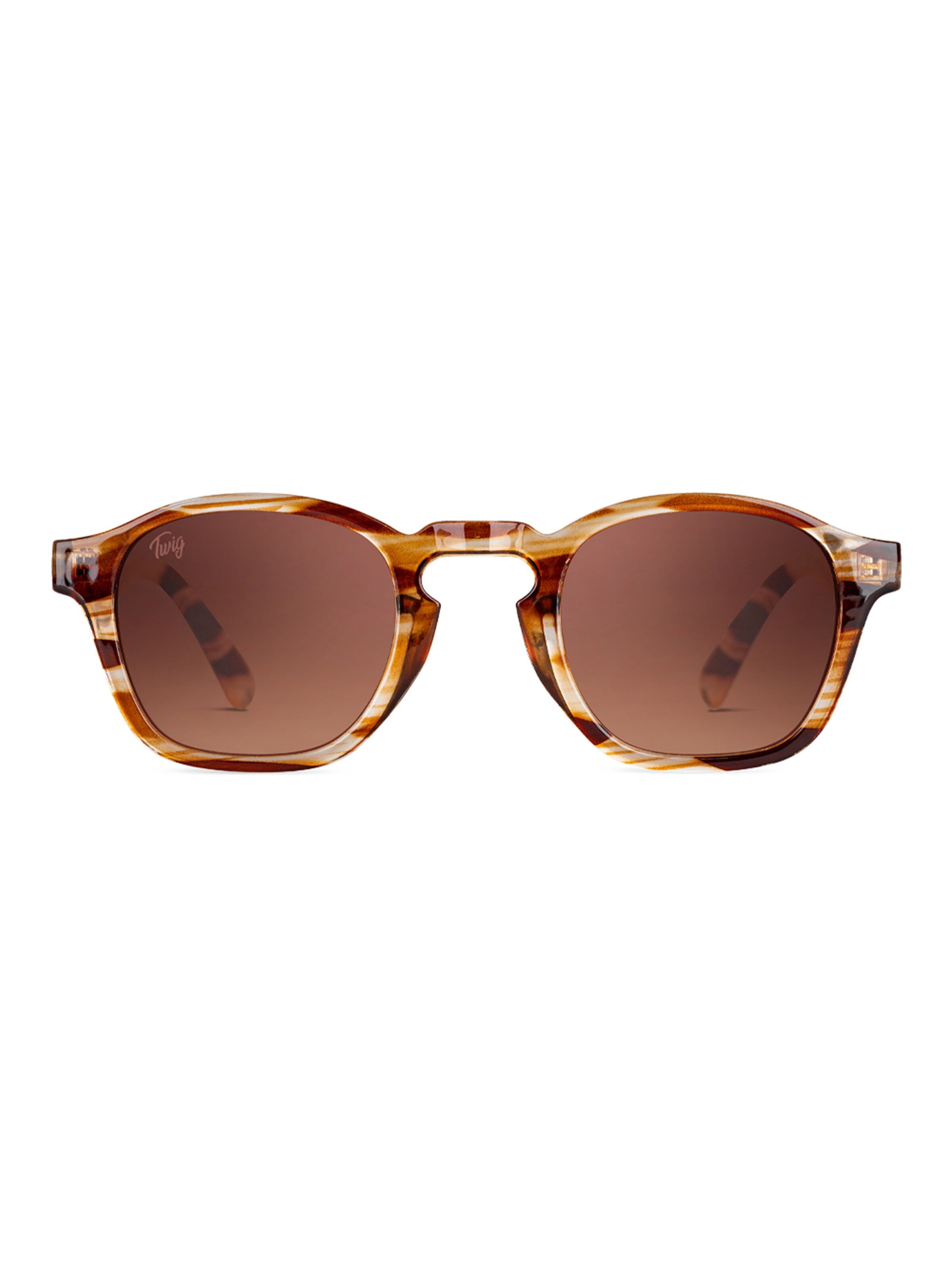 TWIG Concept Milano Sunglasses 'Rodin' in Brown: front