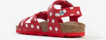 Sandalo 'Pegase' di Bayton in rosso