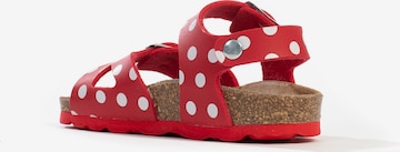 Bayton Sandalen 'Pegase' in Rood