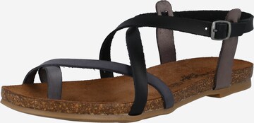 COSMOS COMFORT Strap Sandals in Black: front