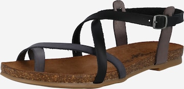 COSMOS COMFORT Sandalen met riem in Zwart: voorkant