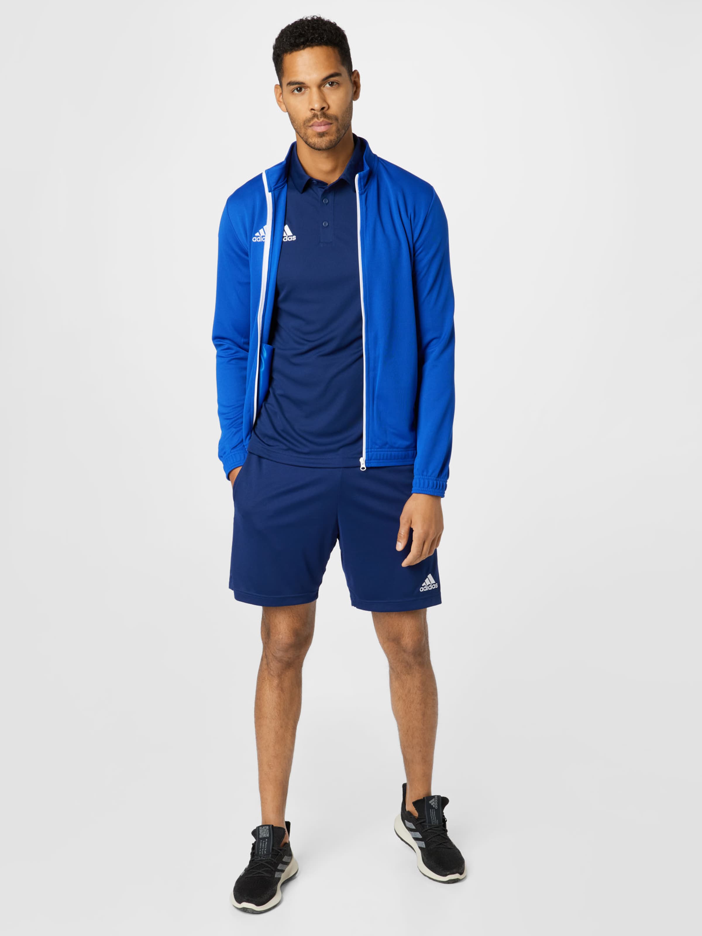 Männer Sportarten ADIDAS PERFORMANCE Sporthose in Nachtblau - SI83488 Männer Sportarten ADIDAS PERFORMANCE Sporthose in Nachtblau - SI83488