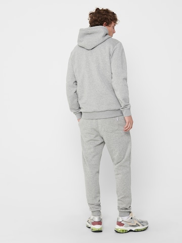 Only & Sons Regular Fit Sweatshirt 'Ceres' i grå