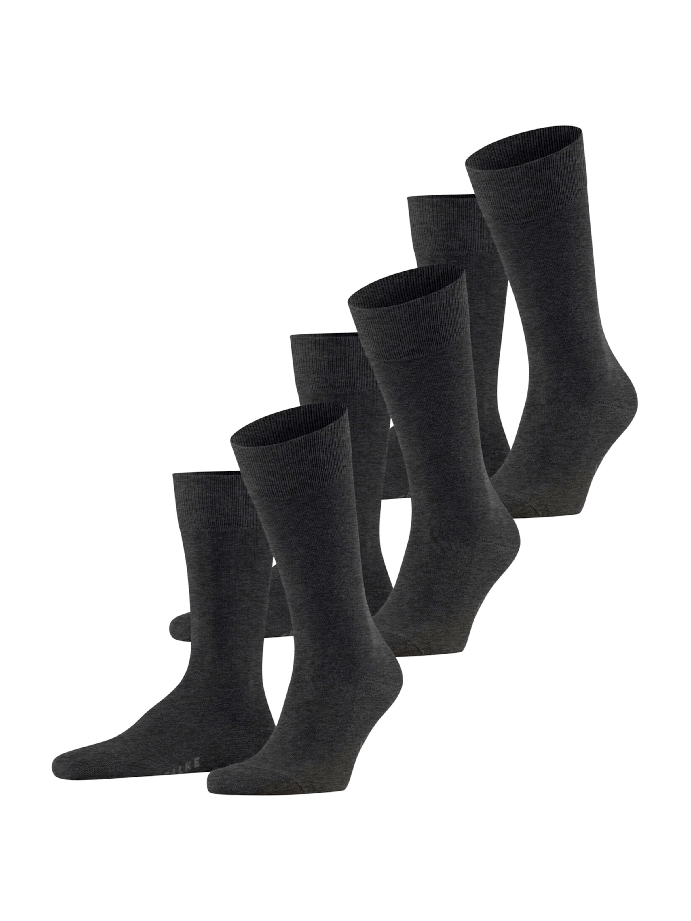 FALKE Socks 'Family' in Grey