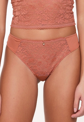 LingaDore Thong in Brown: front