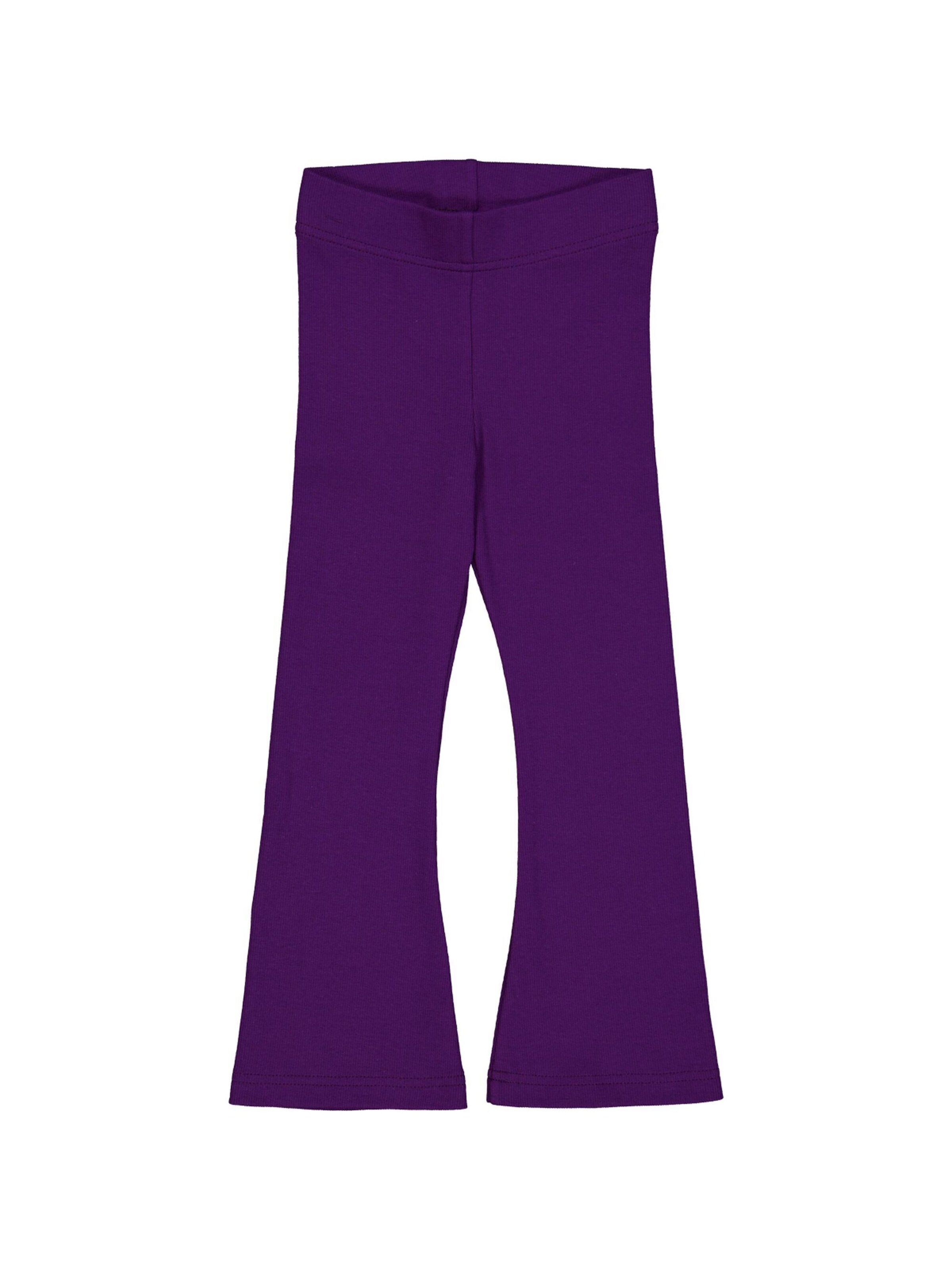 évasé Pantalon Fred's World by GREEN COTTON en violet : devant