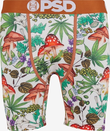 Boxers PSD en mélange de couleurs : devant