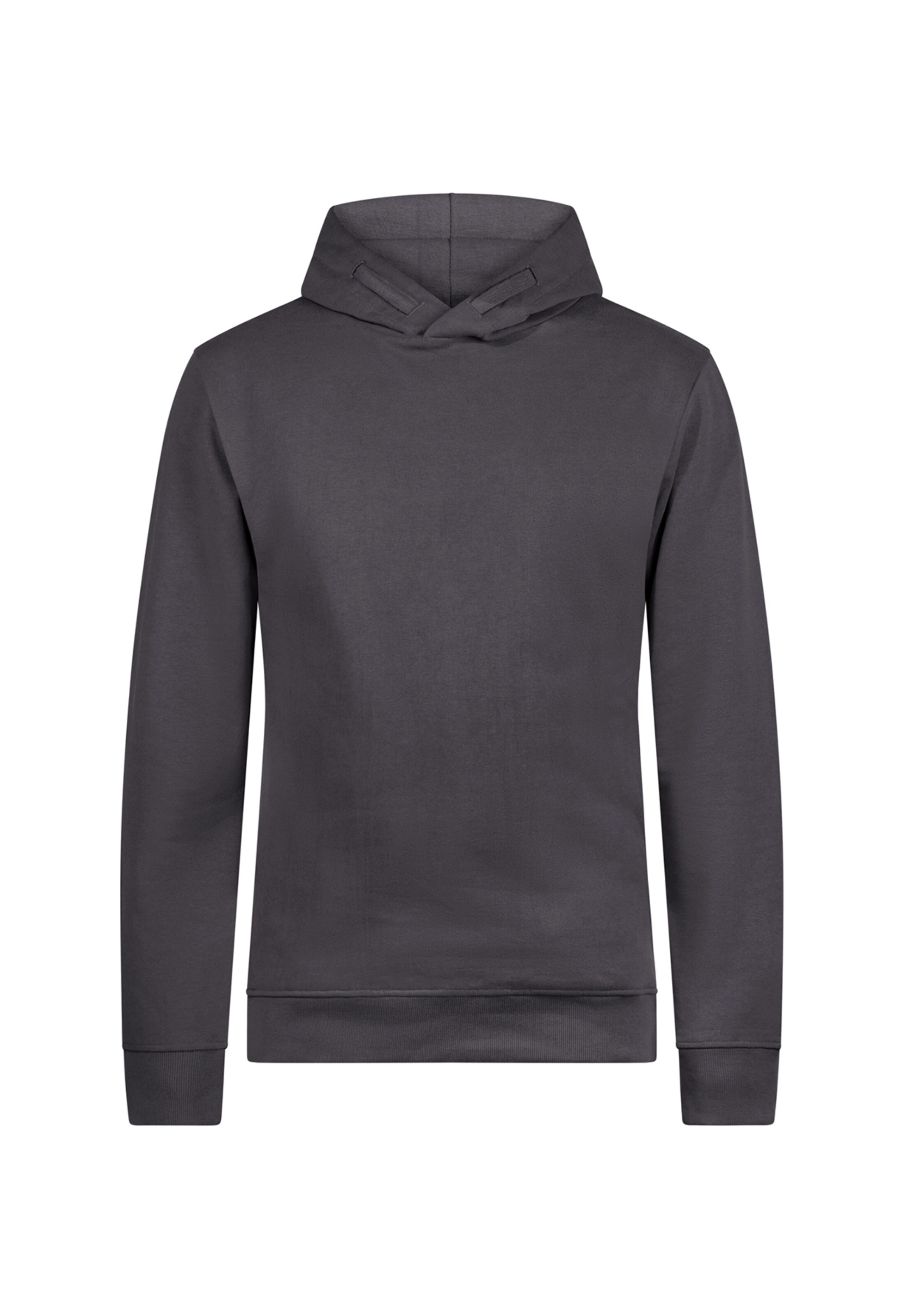 GREENBOMB Sweatshirt in Grau: Vorderseite