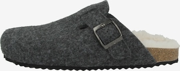 Pantoufle 'Brionia' GEOX en gris