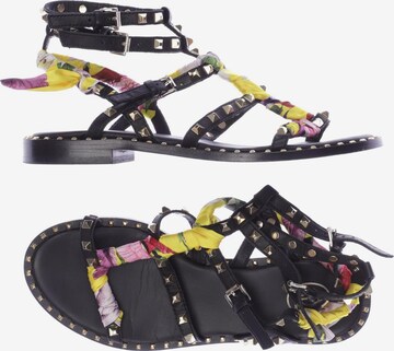 ASH Sandalen 38 in Schwarz: predná strana