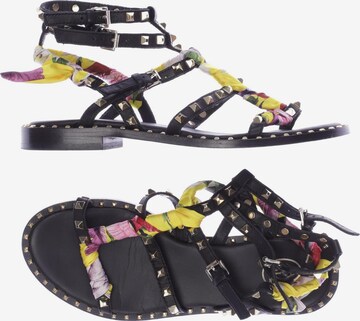 ASH Sandals & High-Heeled Sandals in 38 in Black: front