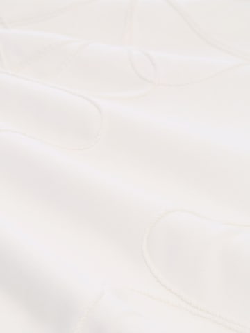 TOM TAILOR Sweatshirt in White